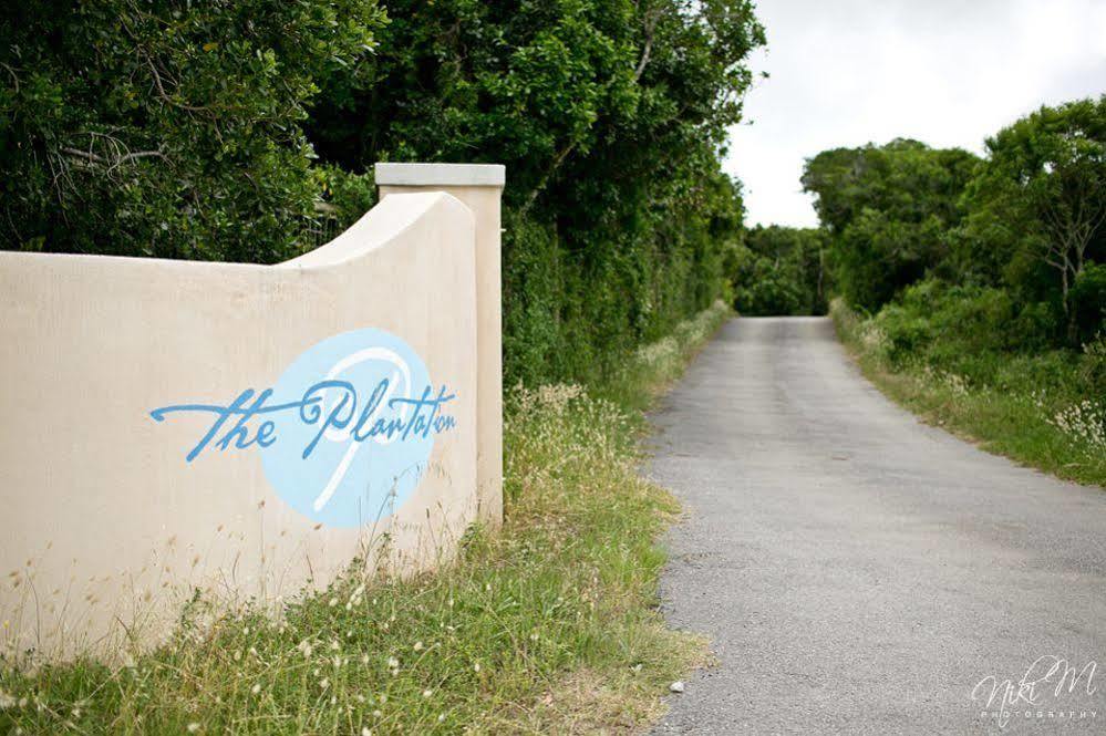 Bed and Breakfast The Plantation Port Elizabeth Exterior foto