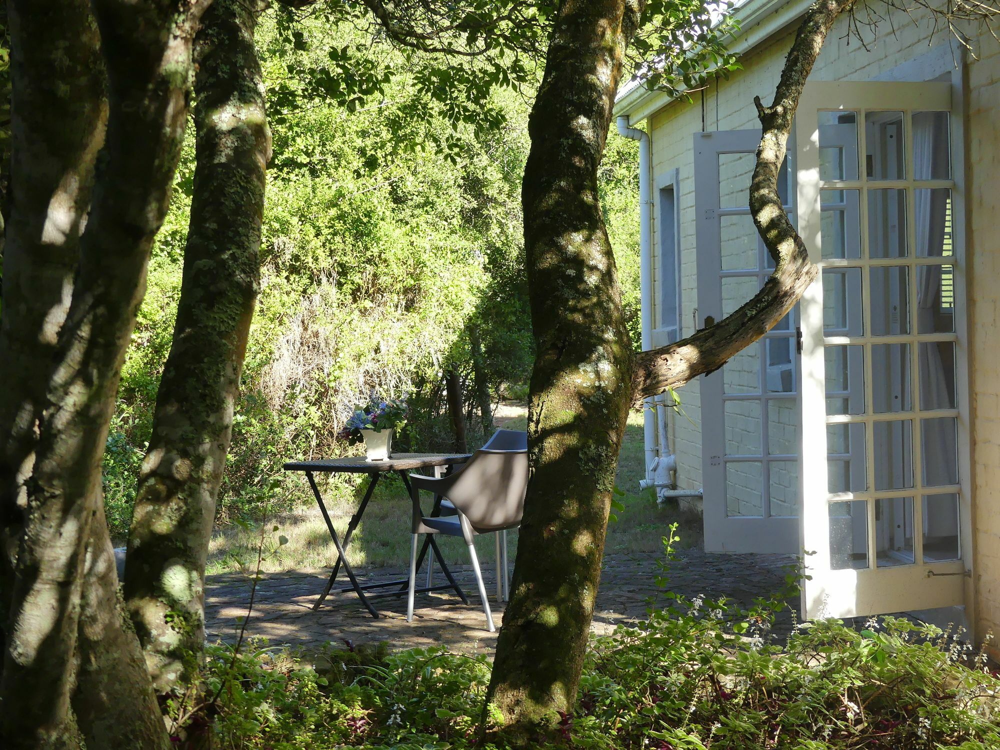 Bed and Breakfast The Plantation Port Elizabeth Exterior foto